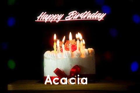 Birthday Wishes with Images of Acacia