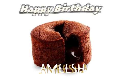 Ameesha Cakes