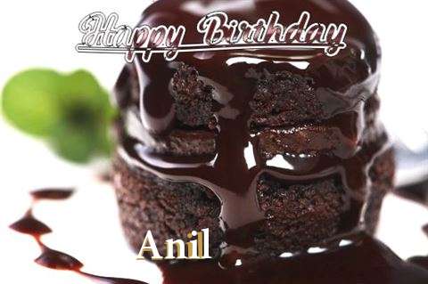Birthday Wishes with Images of Anil