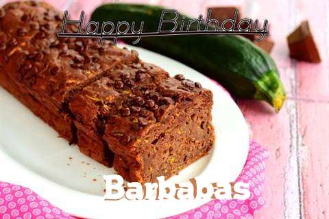 Barbabas Cakes