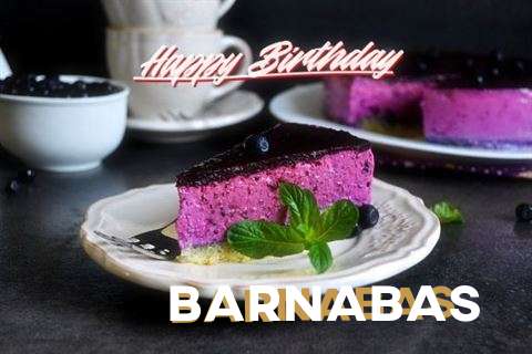 Barnabas Birthday Celebration
