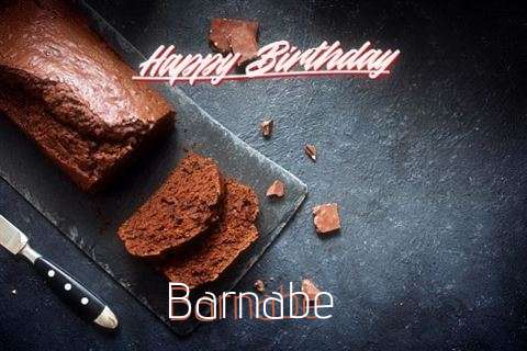 Barnabe Cakes