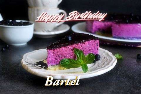 Bartel Birthday Celebration