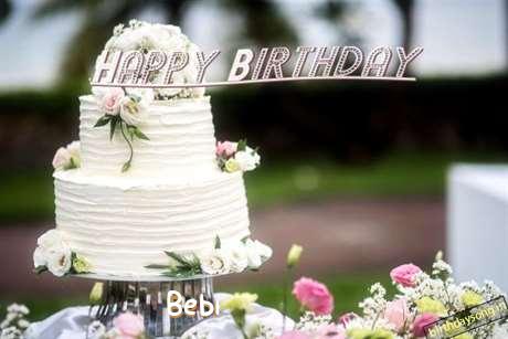Bebi Birthday Celebration
