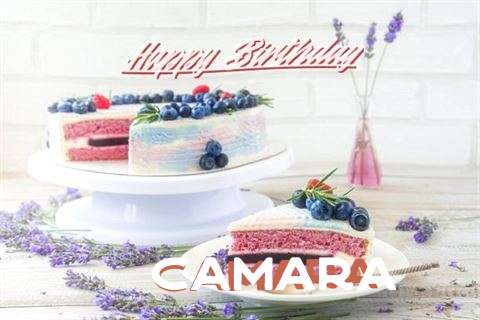 Happy Birthday to You Camara