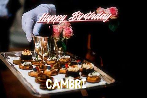 Happy Birthday Wishes for Cambri