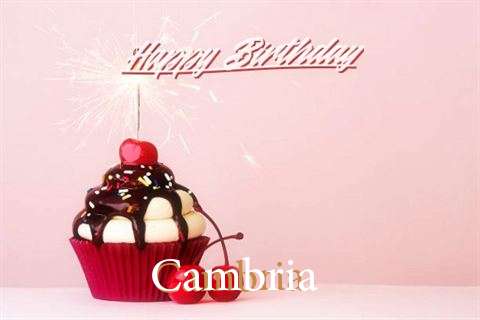 Cambria Birthday Celebration