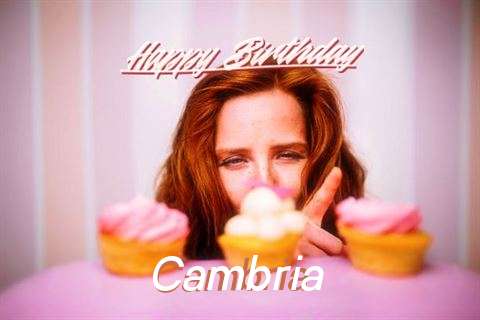 Happy Birthday Wishes for Cambria