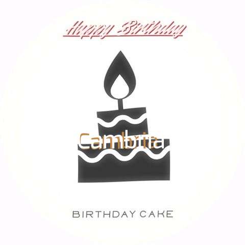 Happy Birthday to You Cambria