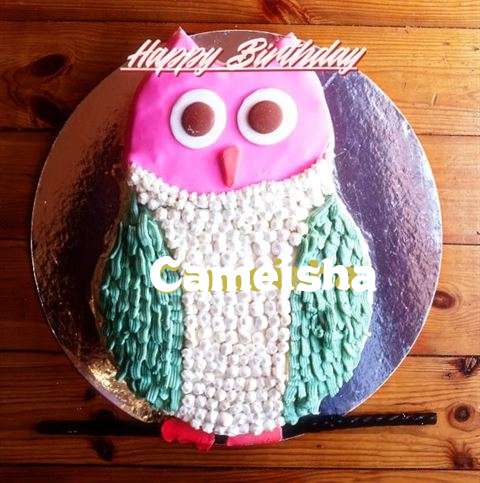 Happy Birthday Cake for Cameisha