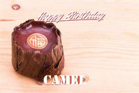 Birthday Wishes with Images of Camel