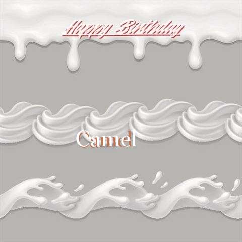 Birthday Images for Camel