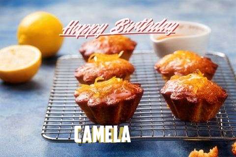 Birthday Wishes with Images of Camela