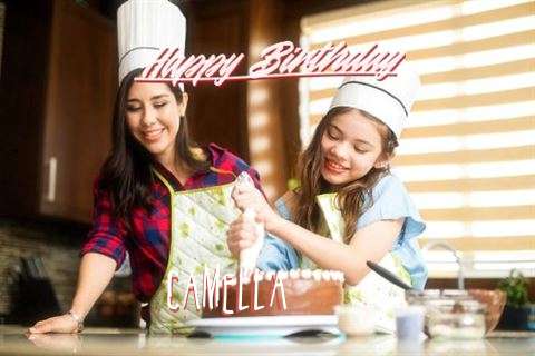 Birthday Wishes with Images of Camella