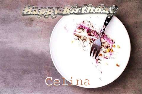 Happy Birthday Celina Cake Image