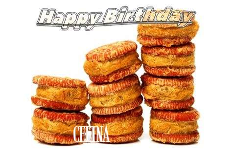 Happy Birthday Cake for Celina