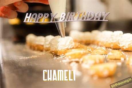Chameli Birthday Celebration