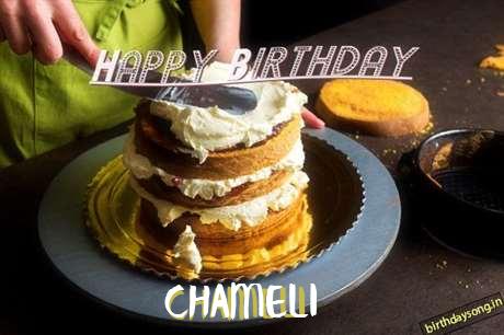 Happy Birthday to You Chameli