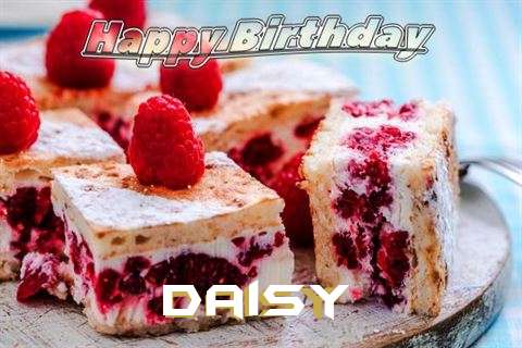 Wish Daisy