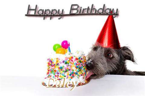 Happy Birthday Daley Cake Image