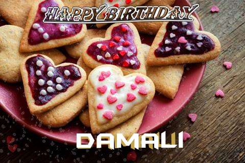 Damali Birthday Celebration