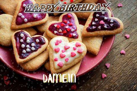 Damein Birthday Celebration