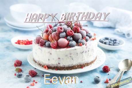 Happy Birthday Eevan