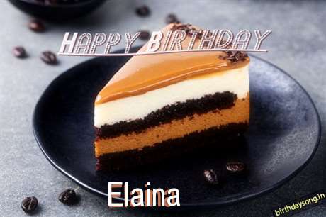Elaina Cakes