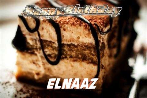 Elnaaz Birthday Celebration