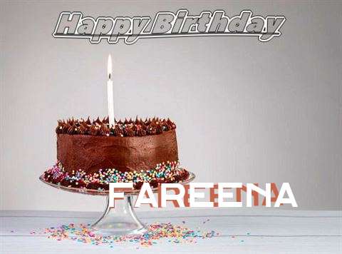 Fareena Cakes