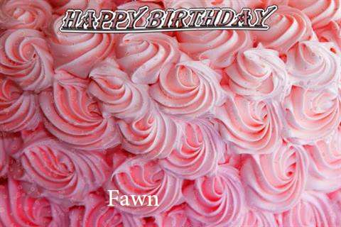 Fawn Birthday Celebration
