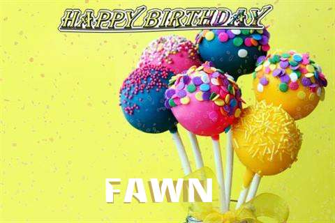 Fawn Cakes