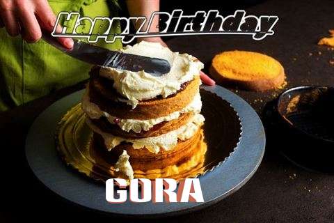 Gora Birthday Celebration