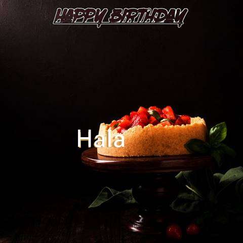 Hala Birthday Celebration
