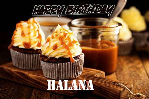Halana Birthday Celebration