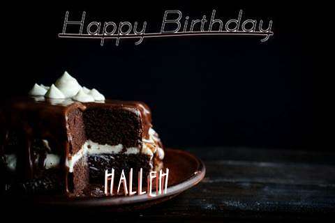 Halleh Cakes