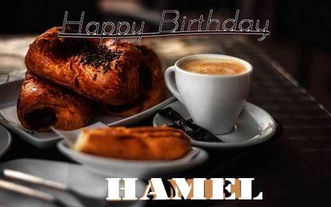 Happy Birthday Hamel Cake Image