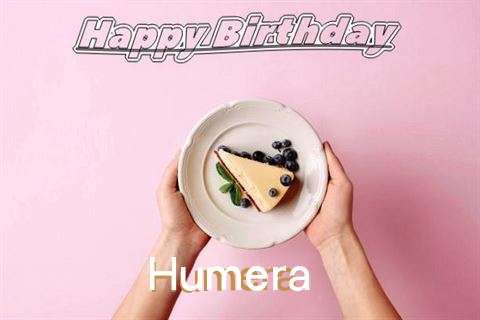 Humera Birthday Celebration