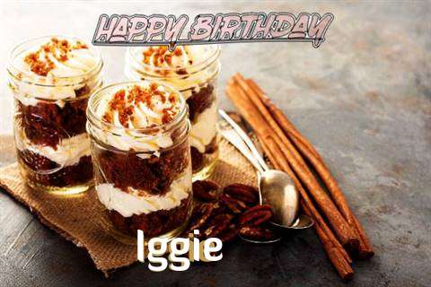 Iggie Birthday Celebration