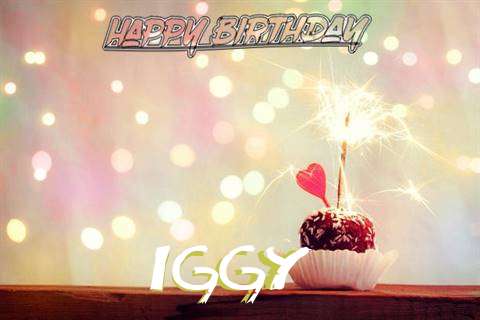 Iggy Birthday Celebration