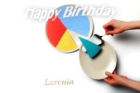 Lavenia Cakes