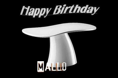 Mallo Birthday Celebration