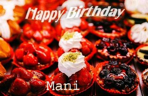 Happy Birthday Cake for Mani