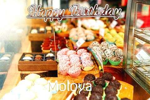 Happy Birthday Moloya