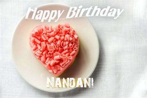 Nandani Cakes