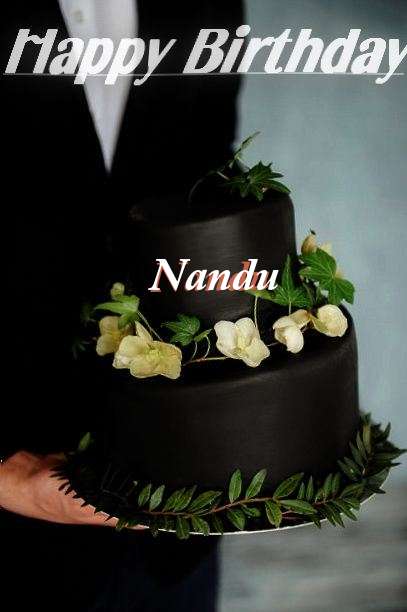 Nandu Birthday Celebration