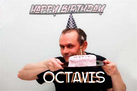 Octavis Cakes