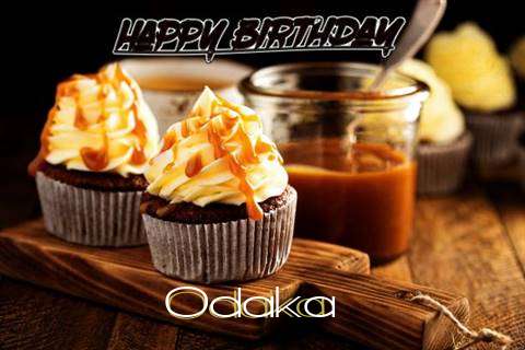 Odaka Birthday Celebration