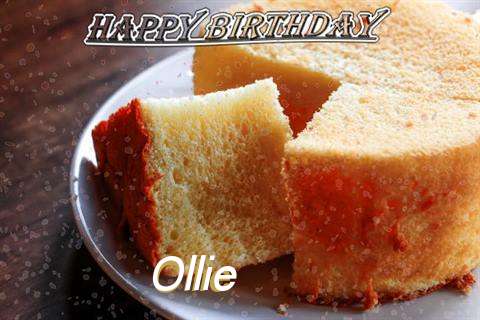 Ollie Birthday Celebration