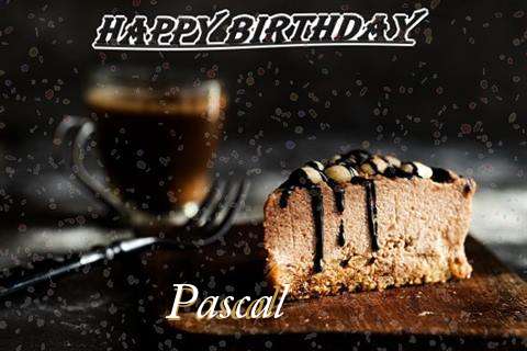 Pascal Cakes